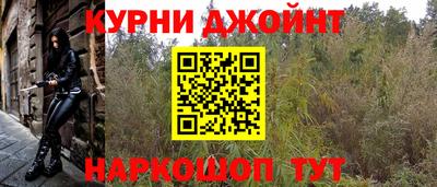 гашик Краснознаменск