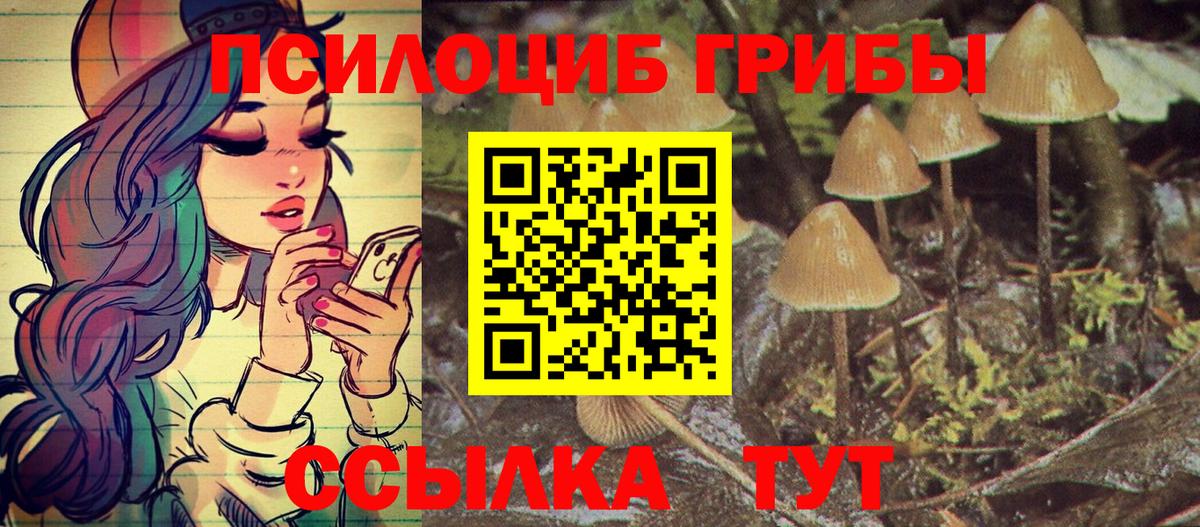 Галлюциногенные грибы MAGIC MUSHROOMS Жигулёвск