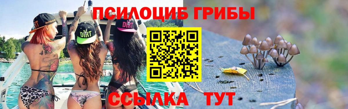 Жигулёвск  Галлюциногенные грибы Magic Shrooms  Вход с VPN 